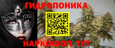 кокс Будённовск