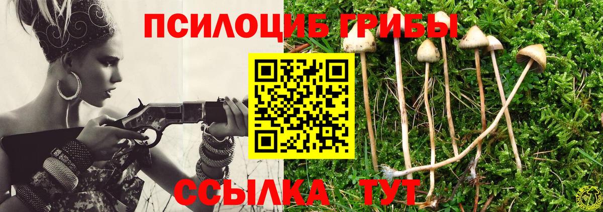 Галлюциногенные грибы Psilocybine cubensis Кропоткин
