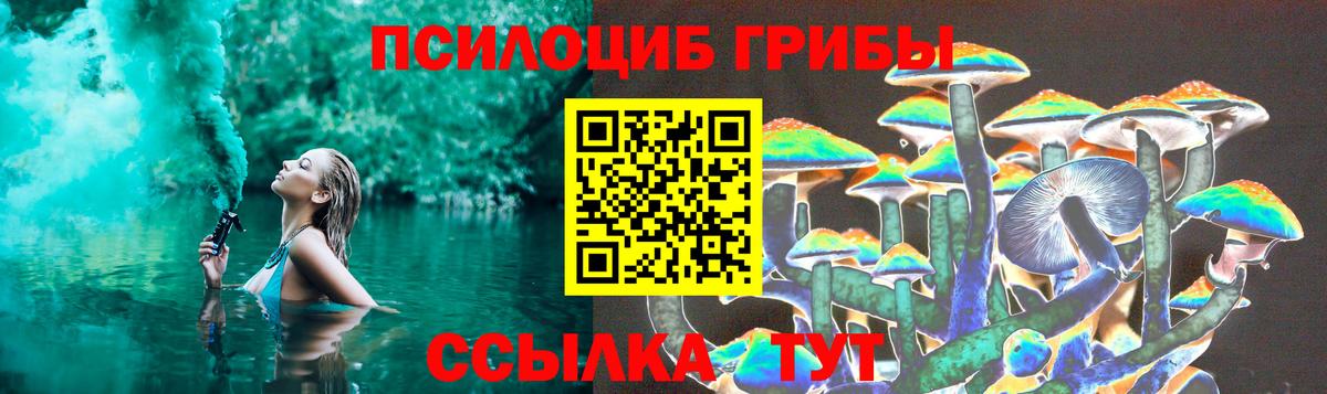 Галлюциногенные грибы MAGIC MUSHROOMS  Вход с VPN  где найти   Кропоткин 
